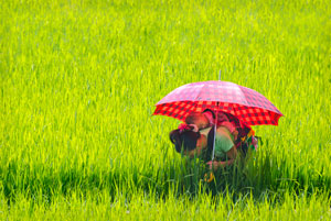 Another red umbrella